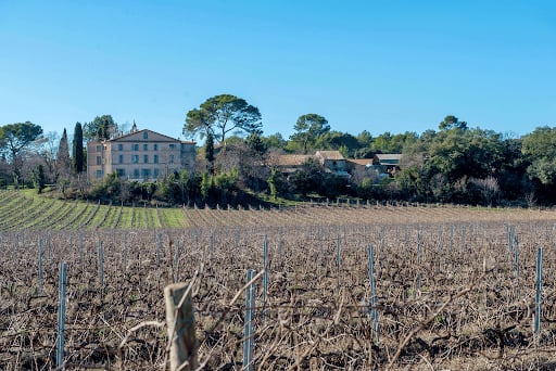 Chateau de Valbourgès - Photo 3