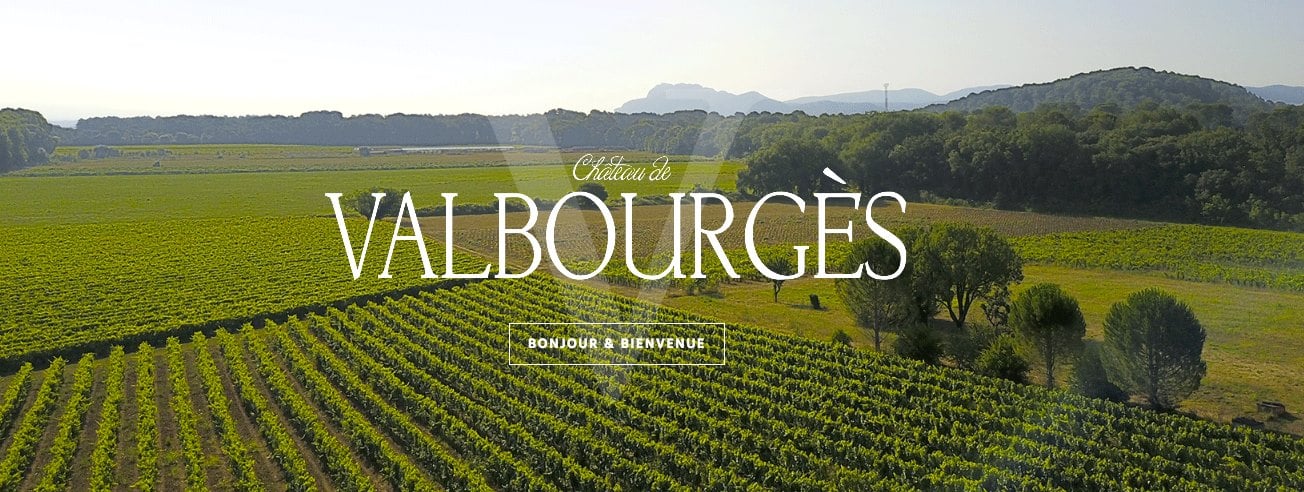 Chateau de Valbourgès - Photo 2
